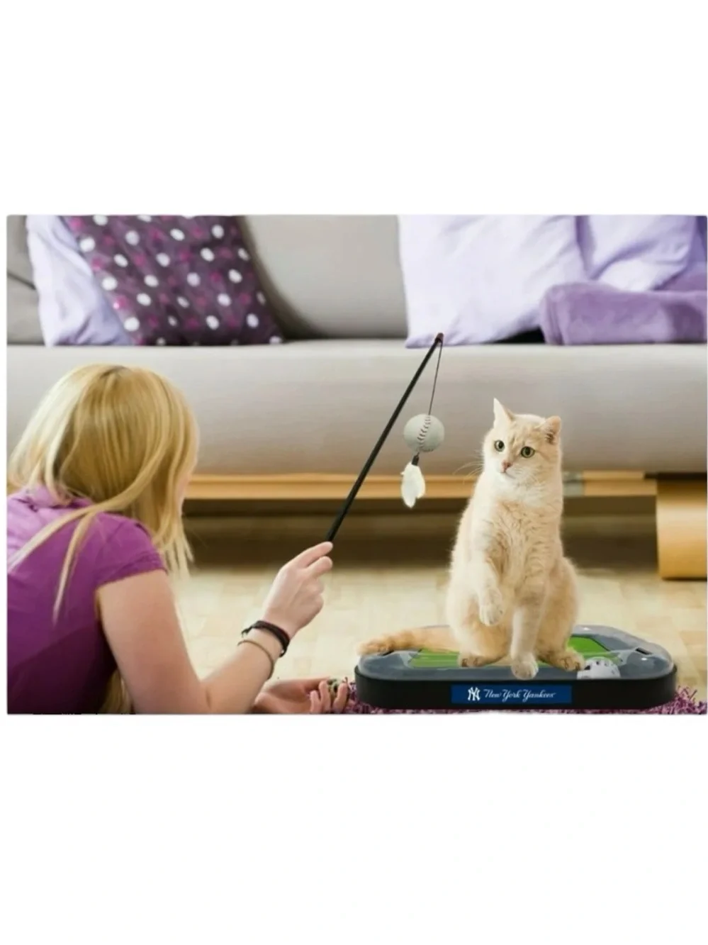 Pets First MLB New York Yankees 5-in-1 Cat Scratcher Toy (NIB)